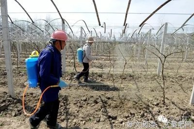最全的《橘生淮南》经典名句大全