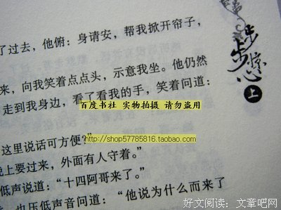 最全的《步步惊心》小说摘抄