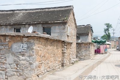 姑奶奶的爱情