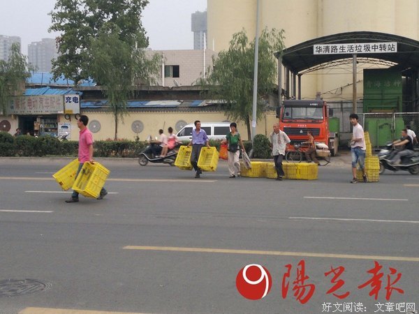 披麻戴孝的语句摘抄_关于披麻戴孝的语句