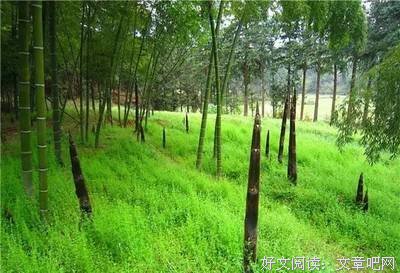 初出茅庐的名句_关于初出茅庐的名句