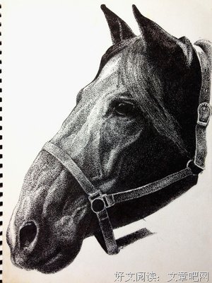 描写贱贱的语句摘抄