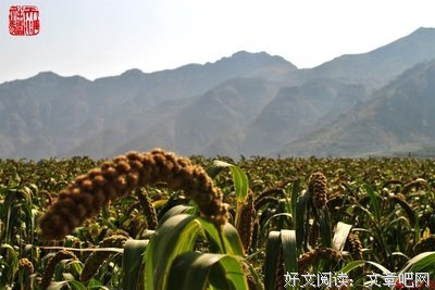 关于雷轰的语句
