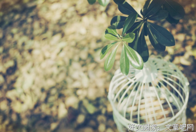 《增广贤文》中的人生智慧：人到中年，做人不纠结，做事不退步
