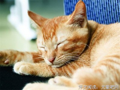 好多杂七杂八的经典的句子
