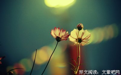段子集优美的句子