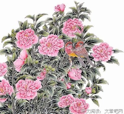 最新的白居易名言
