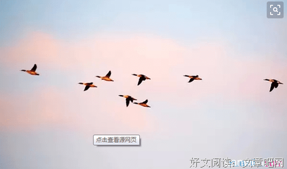 有关陶渊明名言