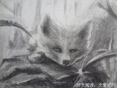 膏药狐名人名言