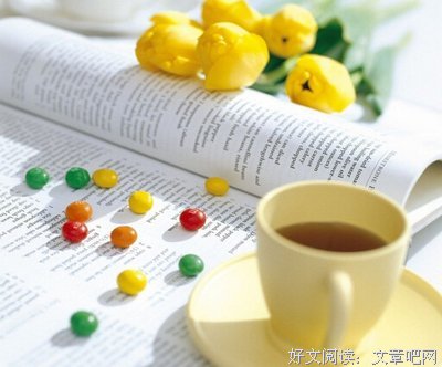 误道者名言