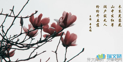 最新的辛夷坞的名言