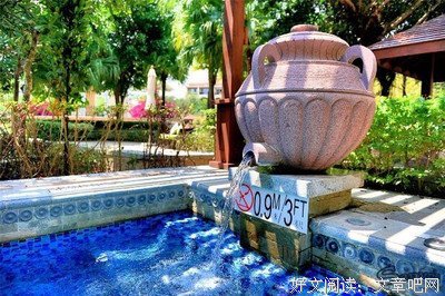 《灿烂千阳》经典语句