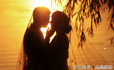 最经典的《犬附少女》小说句子