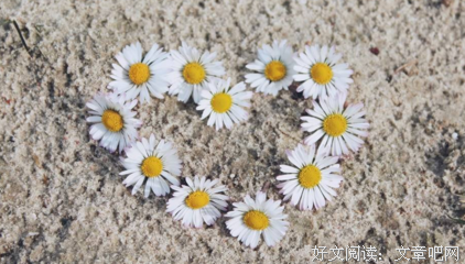 最全的《生死忧患》语录摘抄