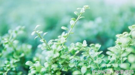 不争，不气，不计较！