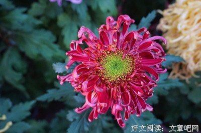 别抱怨读书苦，那是你看世界的路。