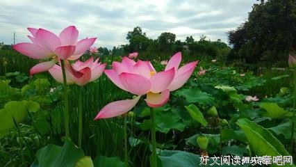 我很喜欢这段话