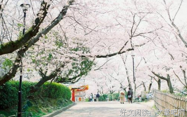 最全的《触摸世界》好段摘抄
