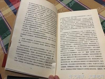 最新的《陆犯焉识》小说书摘