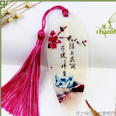 最新的《陌上花开》经典名句