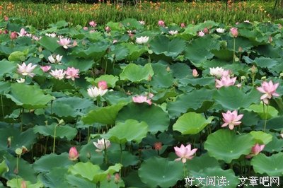 最新的《雕刻时光》经典名句大全