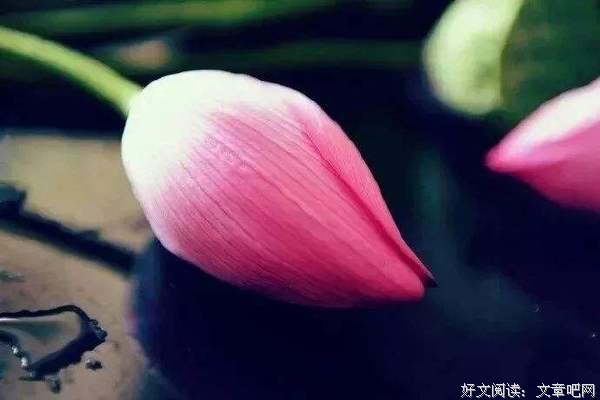 我本善良，但我不傻 