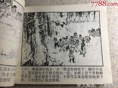 关于小马的唯美语录