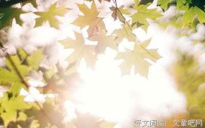 15条关于单纯的经典语句