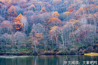 华镜的句子