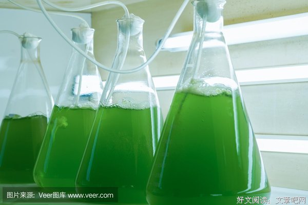 描写浮游生物的经典句子