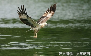 到了我这个年纪，就不想取悦谁了