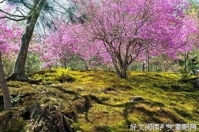 一个们安经典的句子