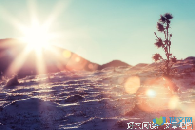 关于综的句子