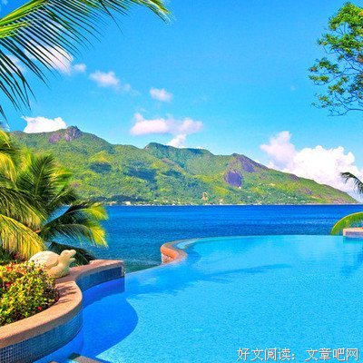 最新的侧侧轻寒的名言