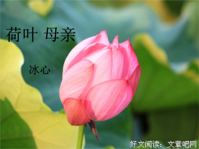 最经典的《繁星·春水》经典的句子
