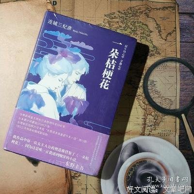 最新的《一朵桔梗花》好段摘抄