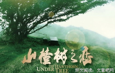 最全的《山楂树之恋》好段摘抄