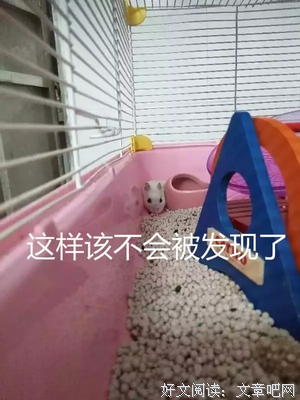 那个尿床的中年人，终于原谅了自己