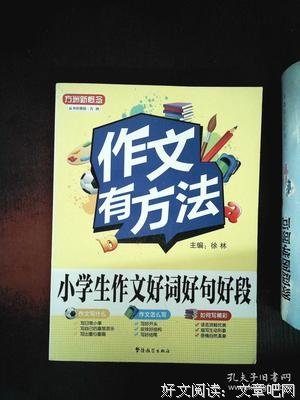 最新的《新概念作文》佳句摘抄