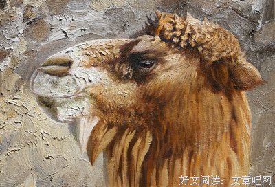 最全的《狂喜的艺术》经典语录