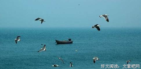 最全的《系我一生心》经典语句