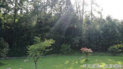 “走得远比走得快重要”，这是一句受伤后才懂得的话。