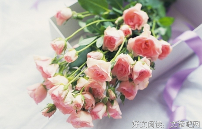 描写死缠烂打的经典句子
