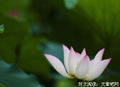 聪明女人，后半生不拼男人，而是拼这三样东西