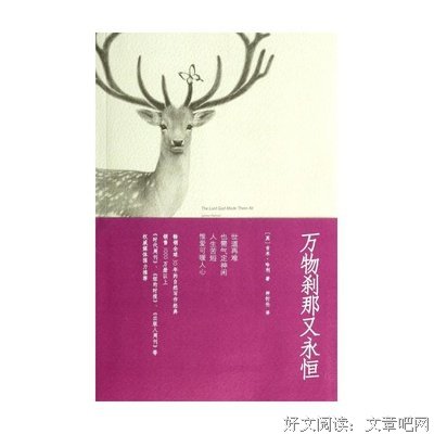 吉米·哈利的名言