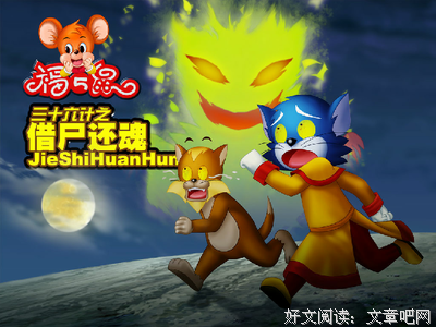 2019剽悍一只猫名言大全