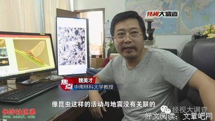 飞虫问答20丨一切都没有发生，为什么需要宽恕？