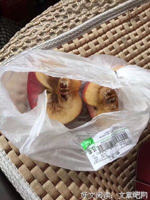 关于黑心苹果的名句