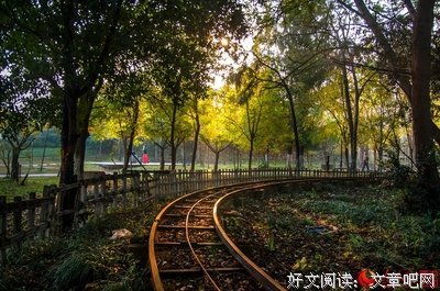 最全的《风中的纸屑》好段摘抄大全