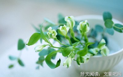 《人生，如茶！》